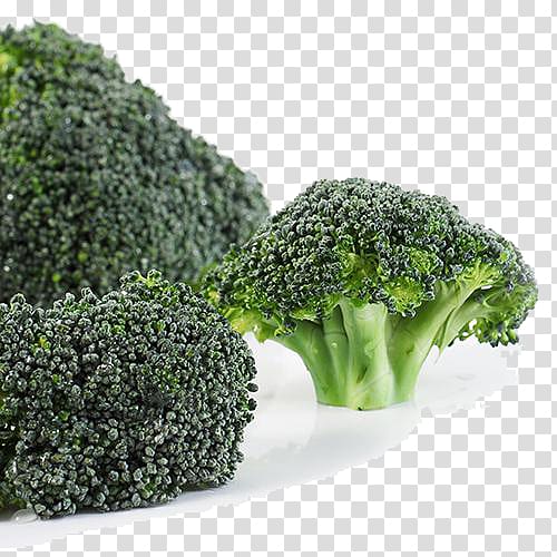 Broccoli Vegetable, Fresh broccoli transparent background PNG clipart