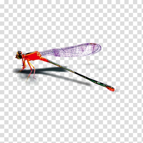 Insect Dragonfly, Red dragonfly pattern transparent background PNG clipart