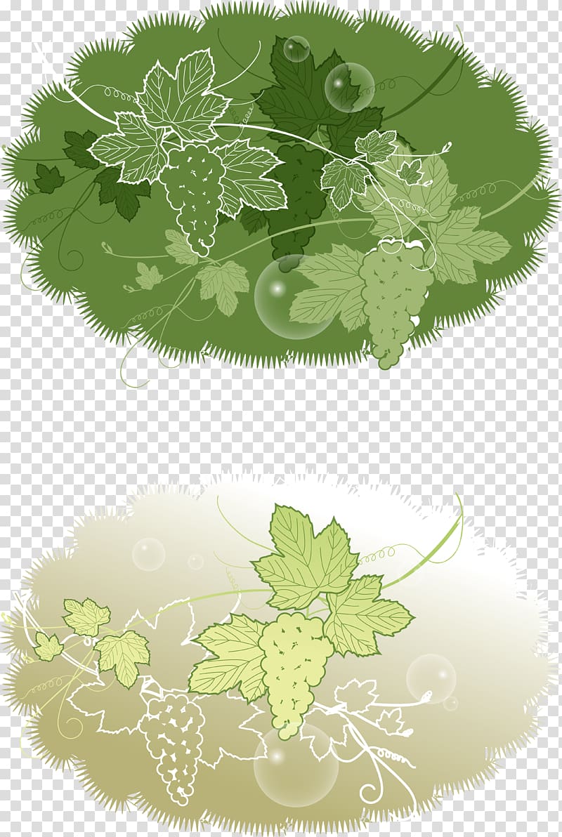 Grapevines Fruit IFolder DepositFiles, grape transparent background PNG clipart