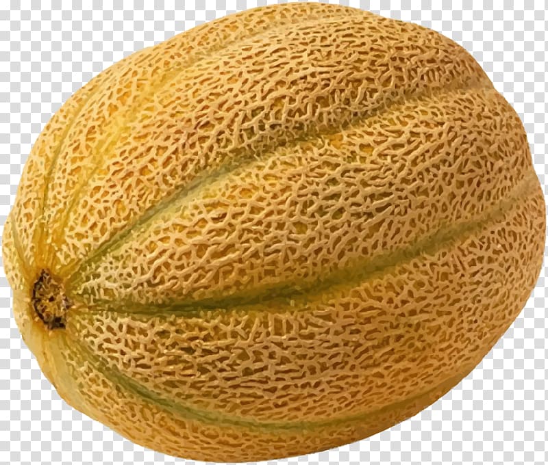 Cantaloupe Honeydew Hami melon Galia melon Cucumber, elements melon fruit transparent background PNG clipart