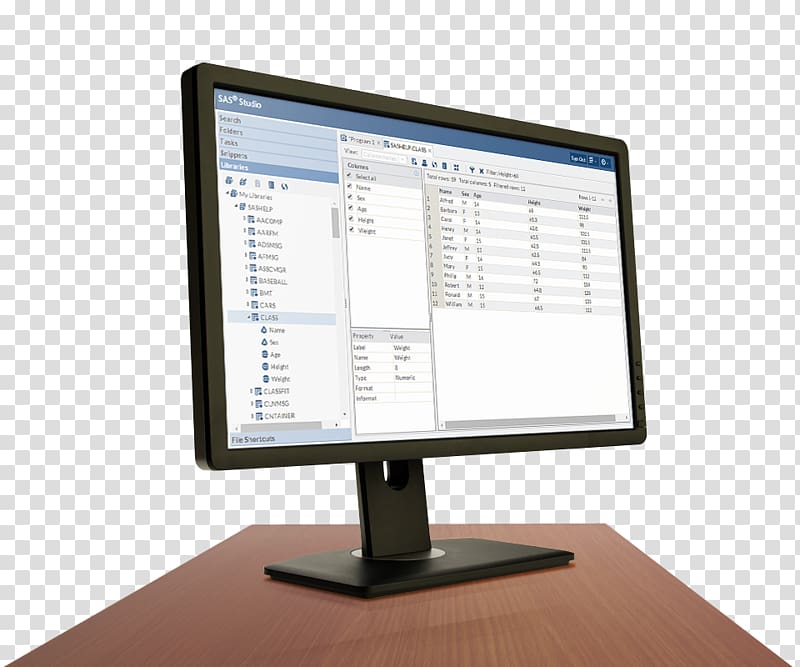 Computer Monitors Computer Software SAS Institute Management, Software Suite transparent background PNG clipart