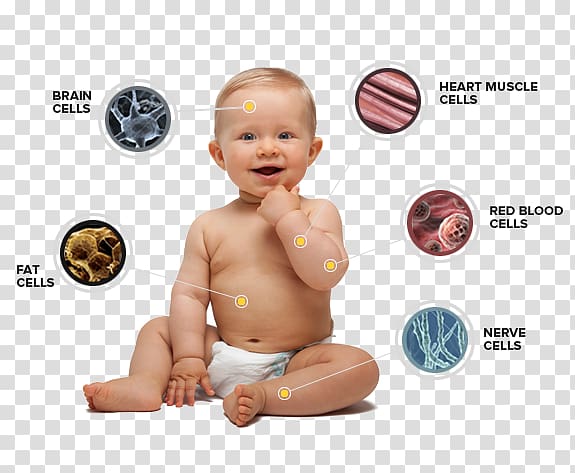 Diaper Infant Child, child transparent background PNG clipart