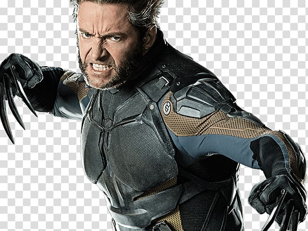 Hugh Jackman Wolverine X-Men: Days of Future Past Professor X Storm, shawn ashmore transparent background PNG clipart