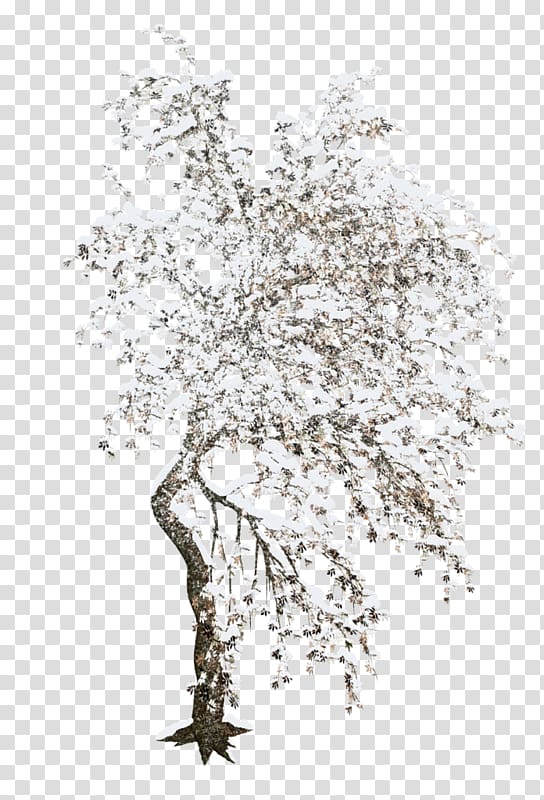 white flowering tree illustration, Tree Winter , Winter trees transparent background PNG clipart