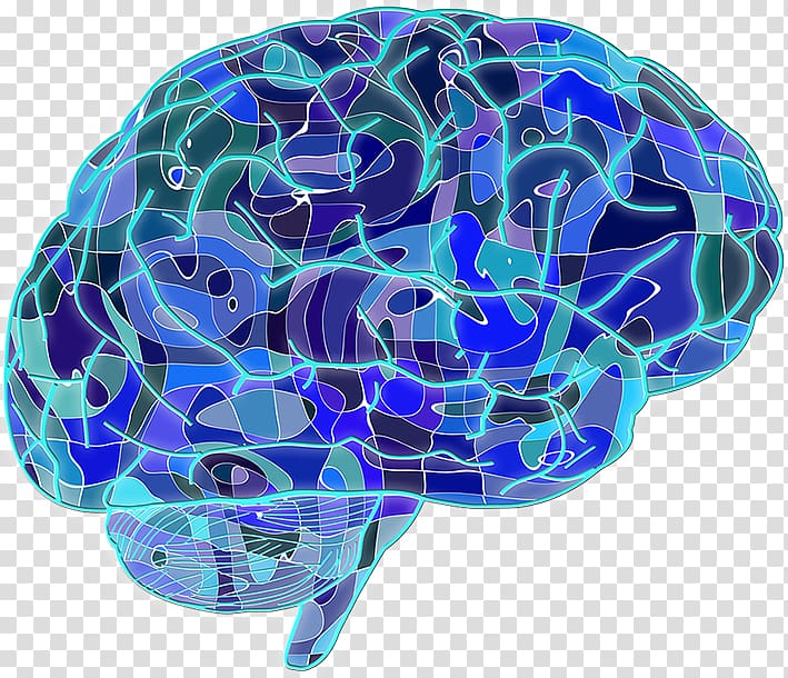 Blue Brain Project Neuron Human brain Neuroscience, wendeltreppe transparent background PNG clipart