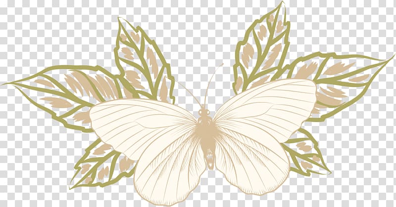 Butterfly Drawing, Hand painted butterfly material transparent background PNG clipart