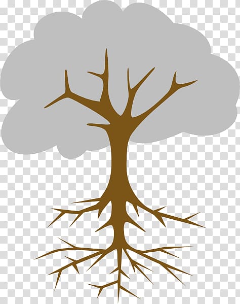 Root cause analysis Tree Branch, tree transparent background PNG clipart