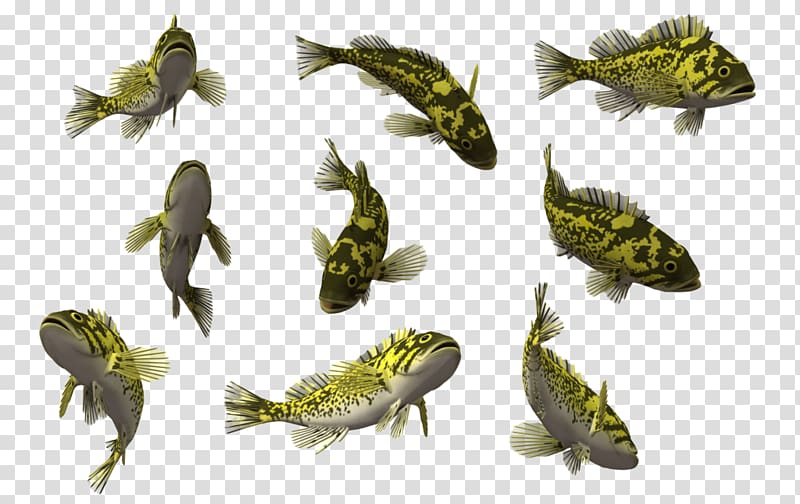 Light Fish manipulation , fish school transparent background PNG clipart