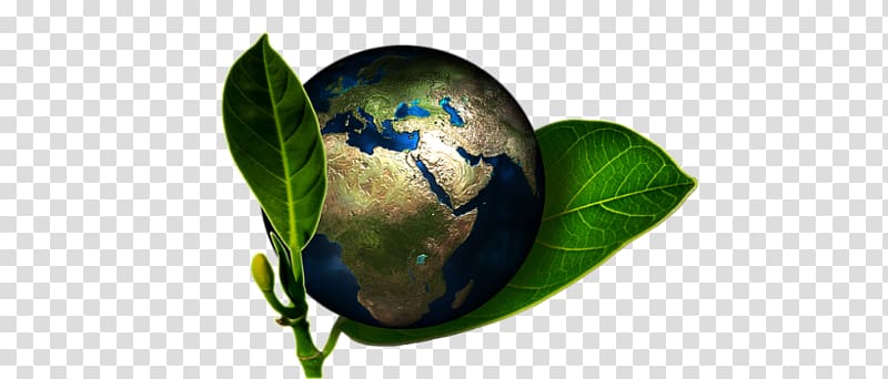Corporate social responsibility Environmentally friendly Accidental Cure: Extraordinary Medicine for Extraordinary Patients Sustainability, friendly cooperation transparent background PNG clipart