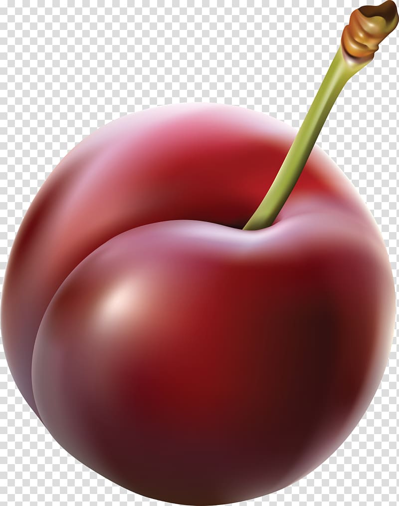 Plum transparent background PNG clipart