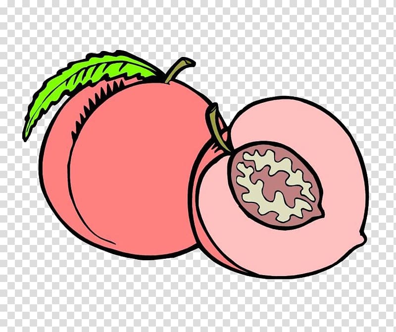 Cartoon, peach transparent background PNG clipart