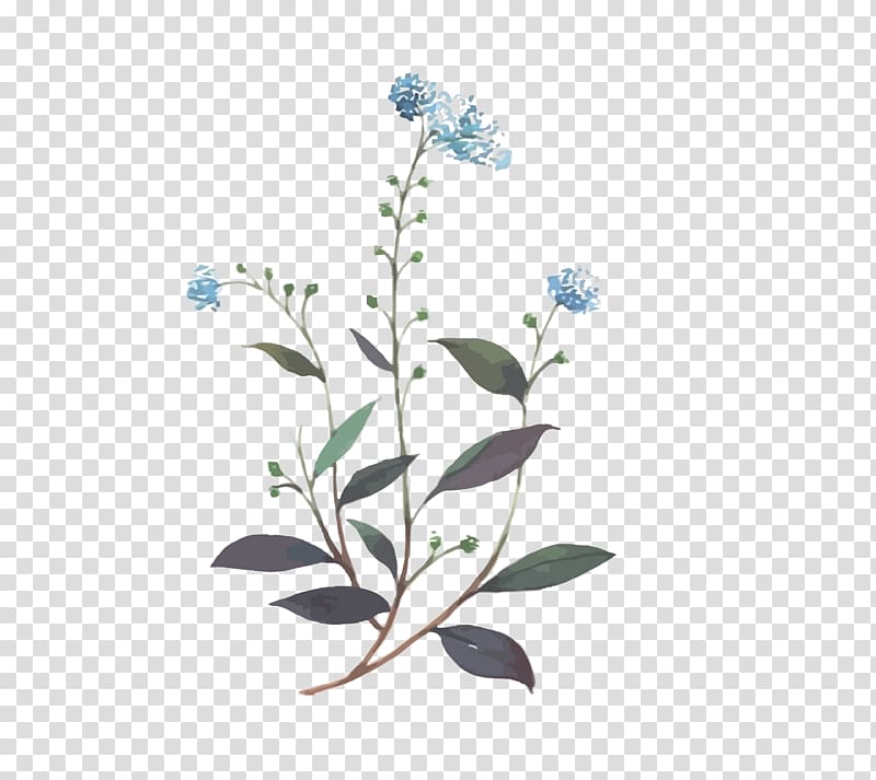 blue petaled flowers illustration, Blue Flower, blue floral transparent background PNG clipart