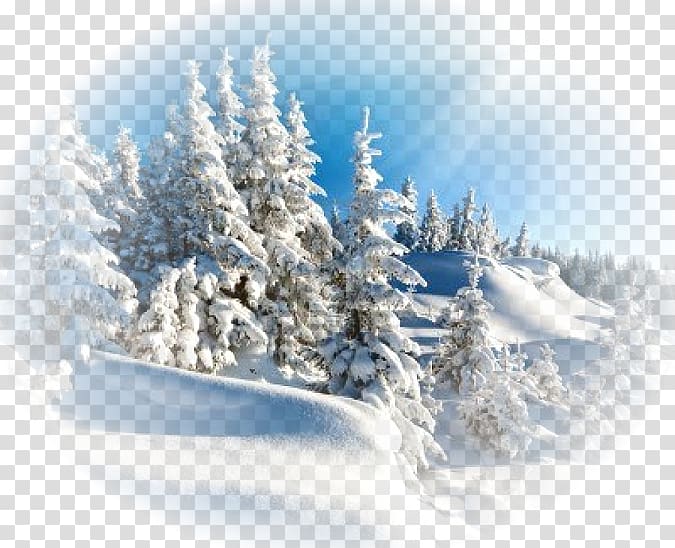 Desktop Winter Snow , winter transparent background PNG clipart
