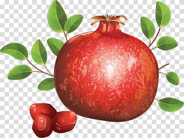 Pomegranate juice Accessory fruit, pomegranate fruit transparent background PNG clipart