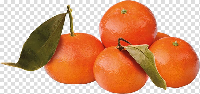 Food Tangerine Mandarin orange Tangelo Tomato, Product Promotion transparent background PNG clipart