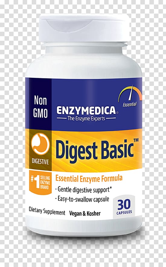 Dietary supplement Digestive enzyme Digestion Probiotic, others transparent background PNG clipart