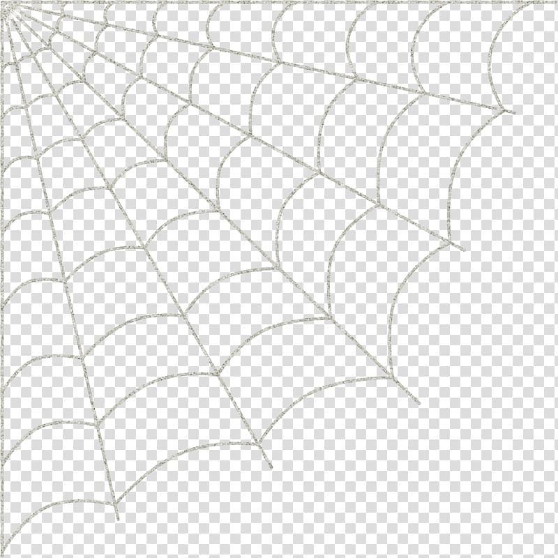 cobweb transparent background PNG clipart