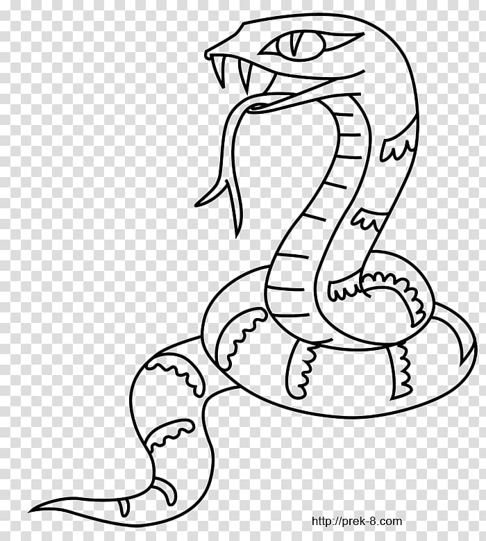 Snake Coloring book Crocodile Tiger Drawing, Cartoon jungle transparent background PNG clipart