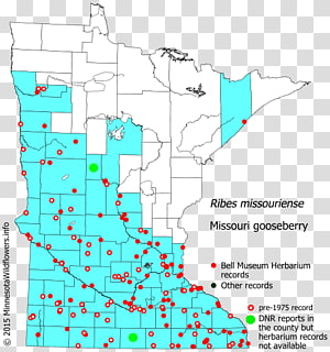 Line Point Map Tuberculosis, line transparent background PNG clipart thumbnail