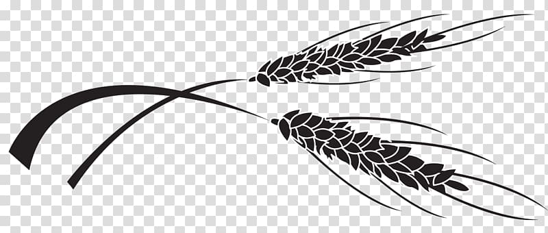 Quill Corp Grasses White, line transparent background PNG clipart