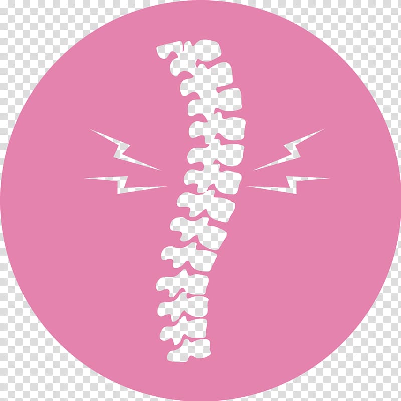 Massage Vertebral column Health Back pain Human back, physical therapy of tcm transparent background PNG clipart