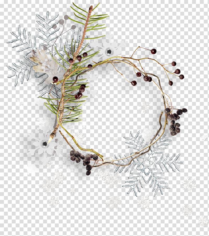 Branch, Snow litter ring transparent background PNG clipart