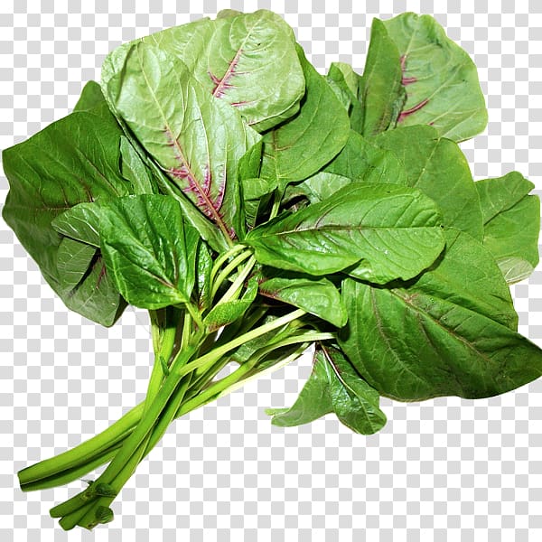 Spinach Leaf vegetable Chard Komatsuna, vegetable transparent background PNG clipart