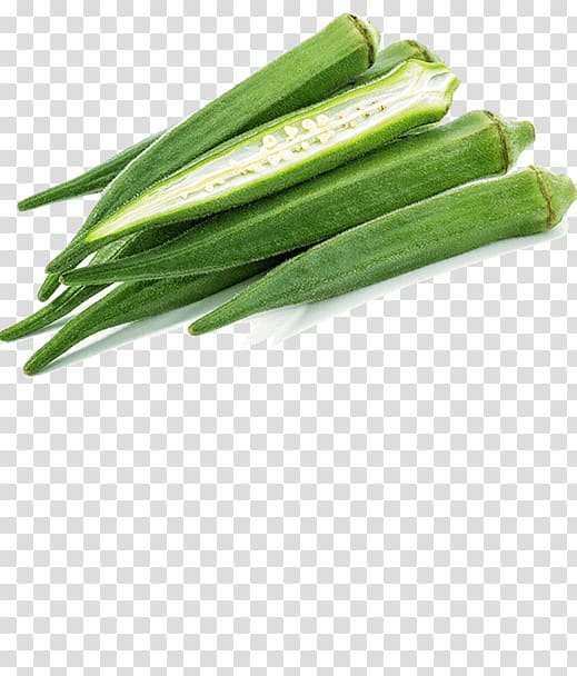 Allium fistulosum Welsh cuisine Green bean Cucumber, cucumber transparent background PNG clipart