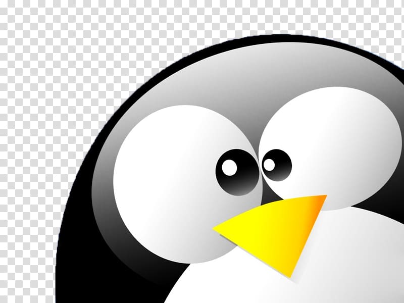 Tux Penguin Desktop Linux Foundation, Penguin transparent background PNG clipart