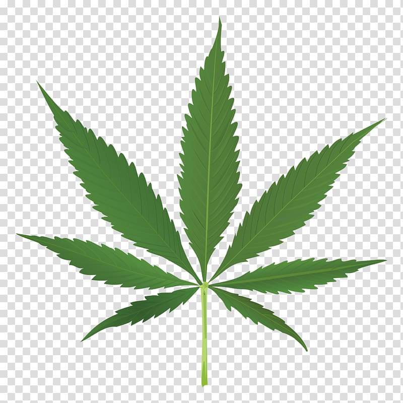 Cannabis Leaf Joint , cannabis transparent background PNG clipart ...