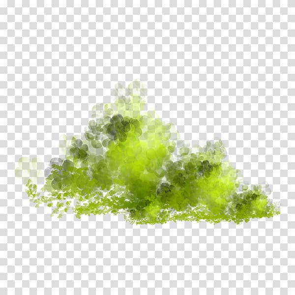 , Meadow lawn grass transparent background PNG clipart