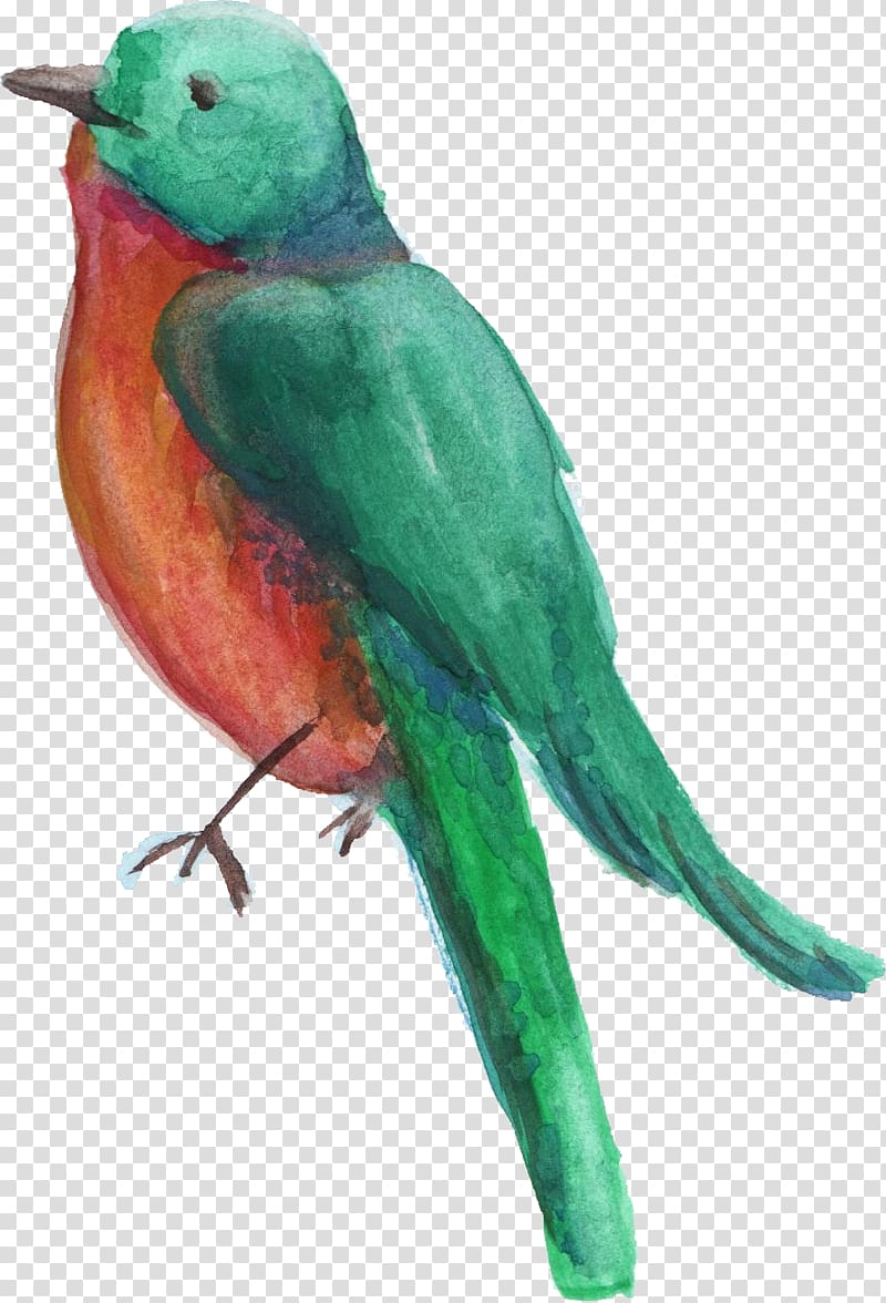 Bird Parrot Parakeet Watercolor Wheel Watercolor painting, Bird transparent background PNG clipart