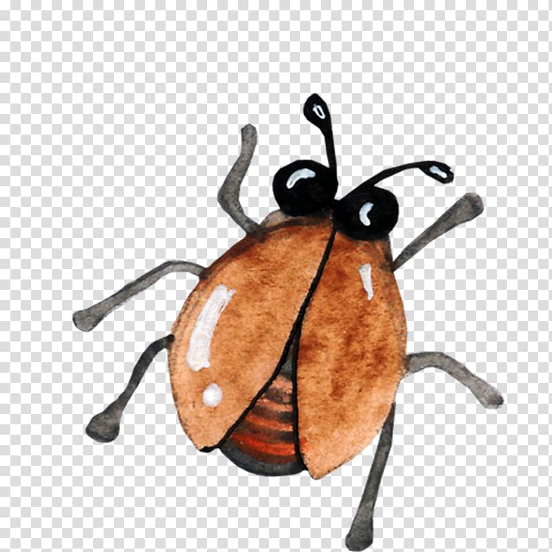 Beetle Icon, insect transparent background PNG clipart