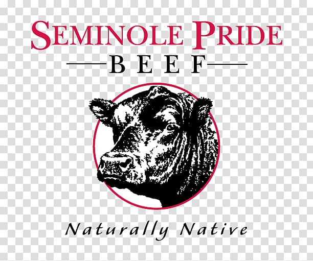 Angus cattle Seminole Pride Beef Brand Organic beef, Pride Of Cows transparent background PNG clipart