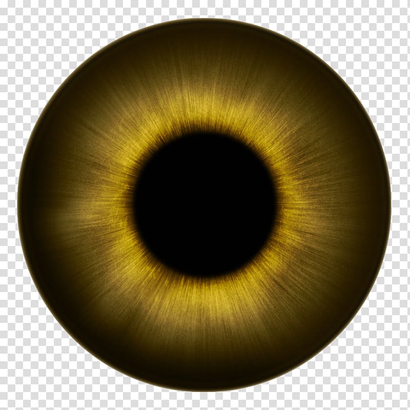 eyeball , Human eye Iris Texture Eye color, eyes transparent background PNG clipart
