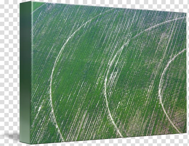 Green Biome Pattern, crop circle transparent background PNG clipart