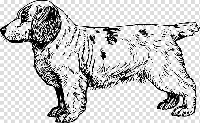 Clumber Spaniel English Cocker Spaniel Brittany dog King Charles Spaniel, Dog draw transparent background PNG clipart