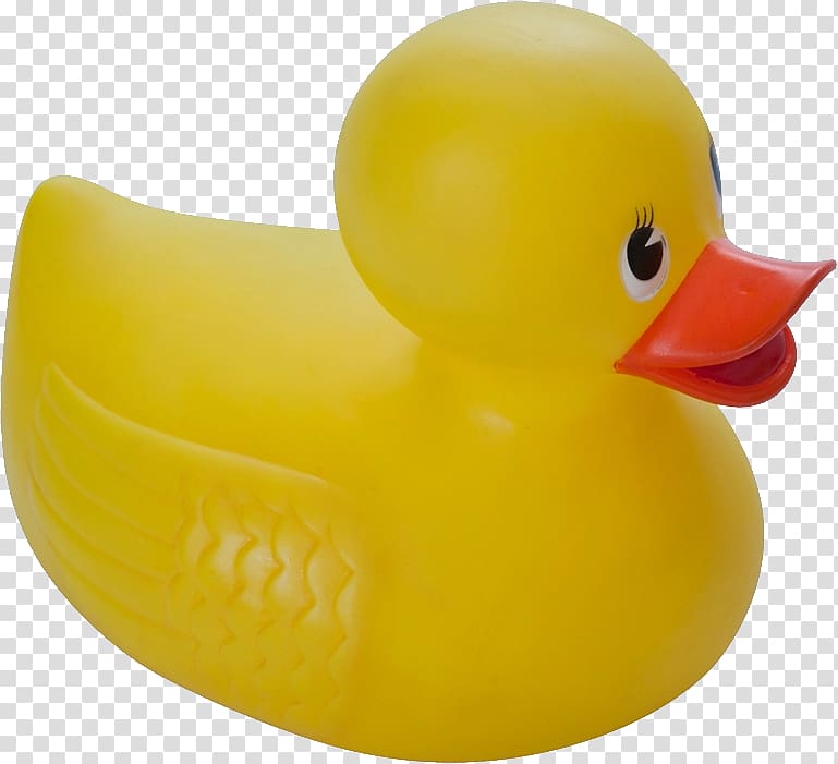 Rubber duck Yellow Toy Badleksak, duck transparent background PNG clipart