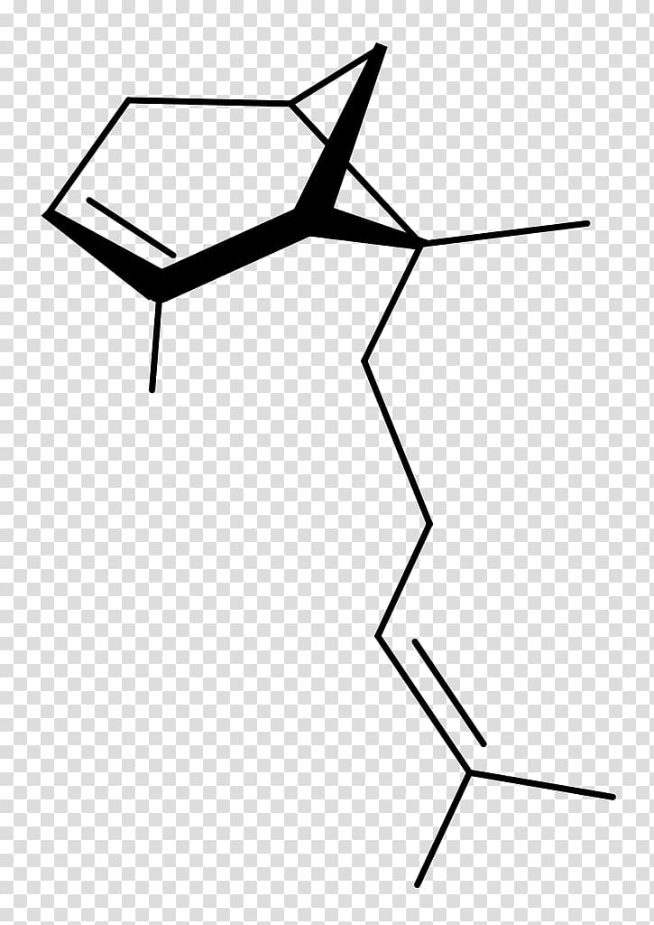 Бергамотен Exo-alpha-bergamotene synthase Sesquiterpene , bergamot transparent background PNG clipart