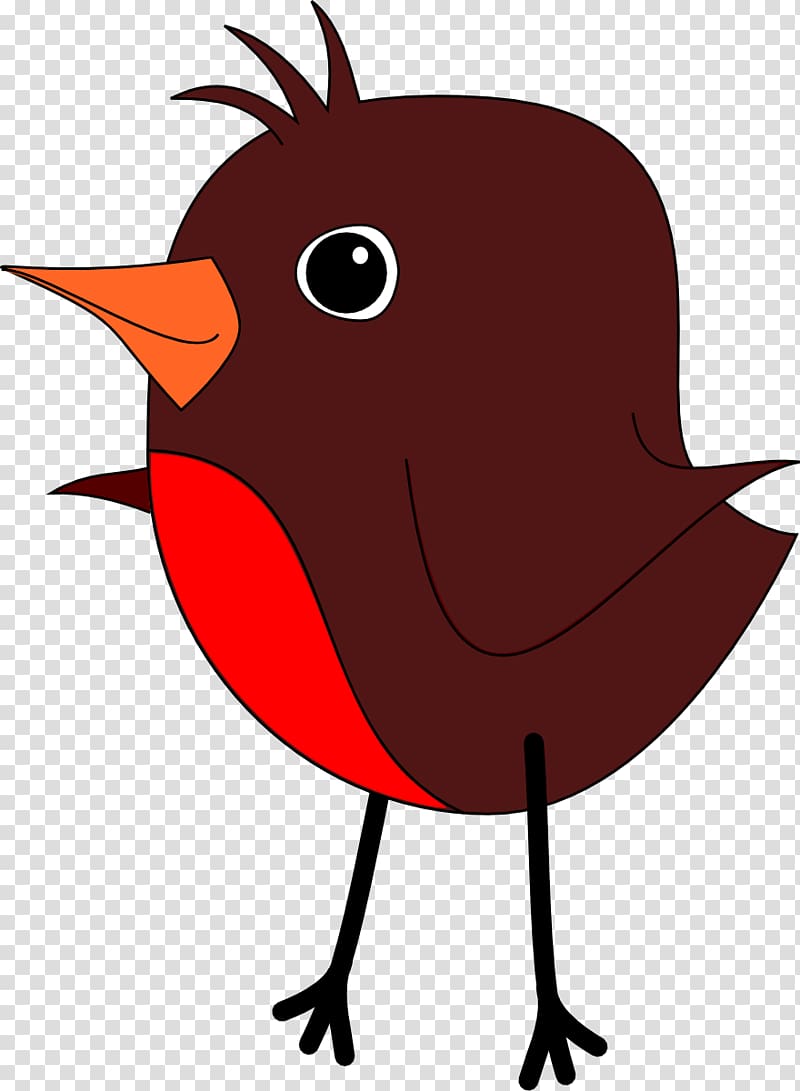 Bird American robin , Robin transparent background PNG clipart