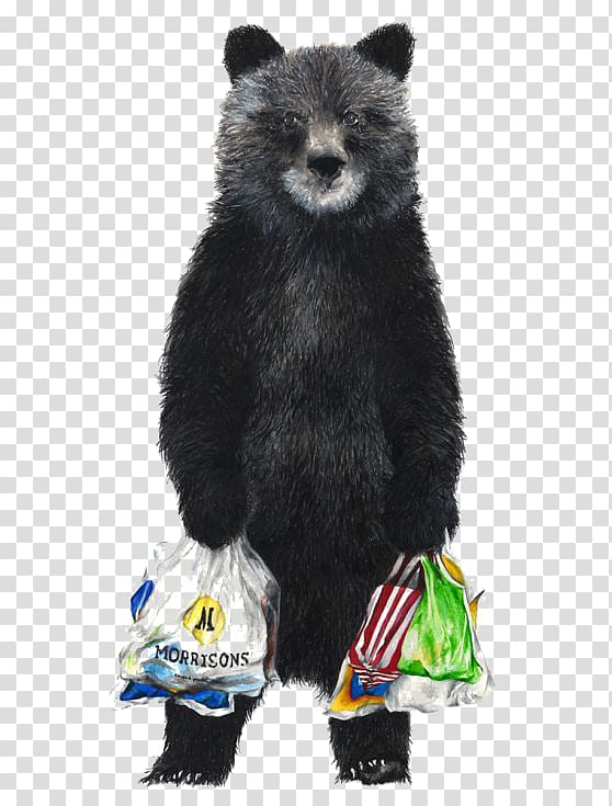 American black bear Brown bear Shopping Drawing, Bears go shopping transparent background PNG clipart