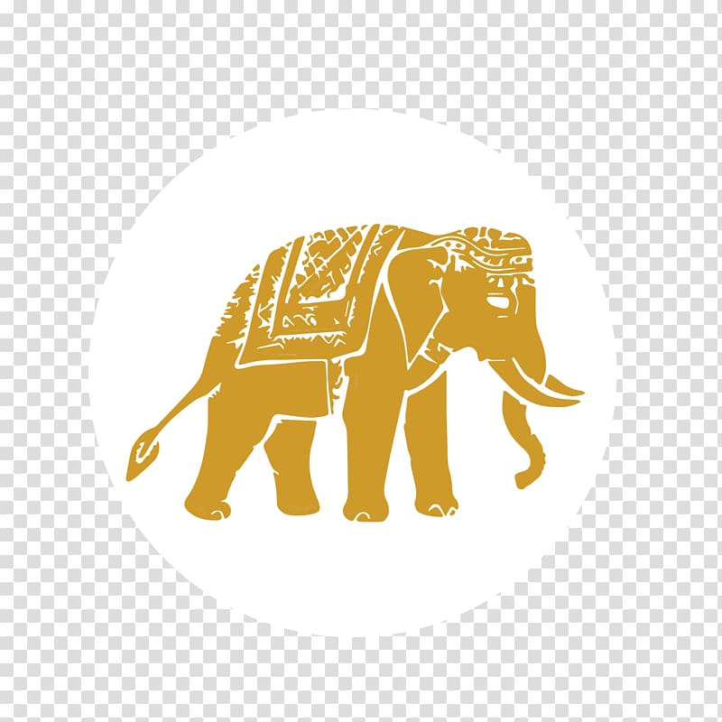 Indian elephant African elephant Elephants in Thailand, elephant transparent background PNG clipart