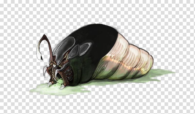 Fauna Insect Scarab Pest Membrane, jeepers creepers transparent background PNG clipart