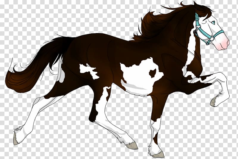 Foal Stallion Mane Mustang Mare, morning dew transparent background PNG clipart
