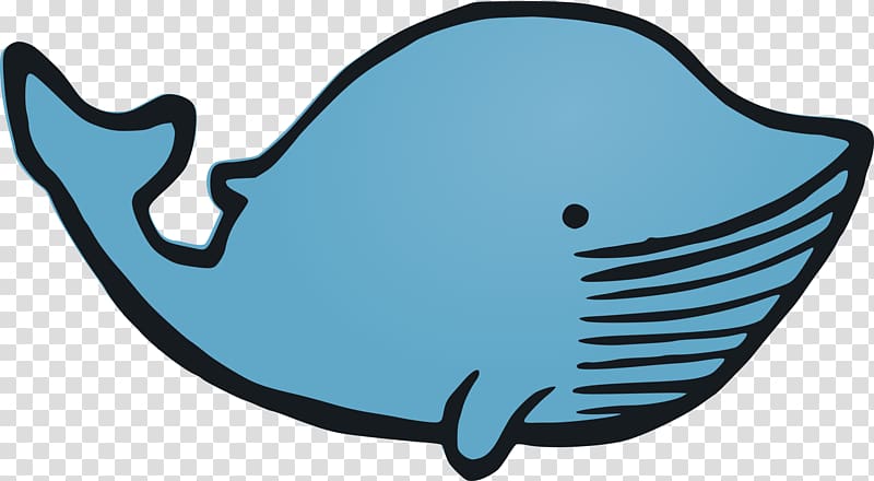 Sperm whale Blue whale , whale transparent background PNG clipart