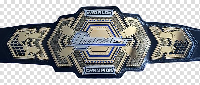 TNA World Heavyweight Wrestling Championship Belt