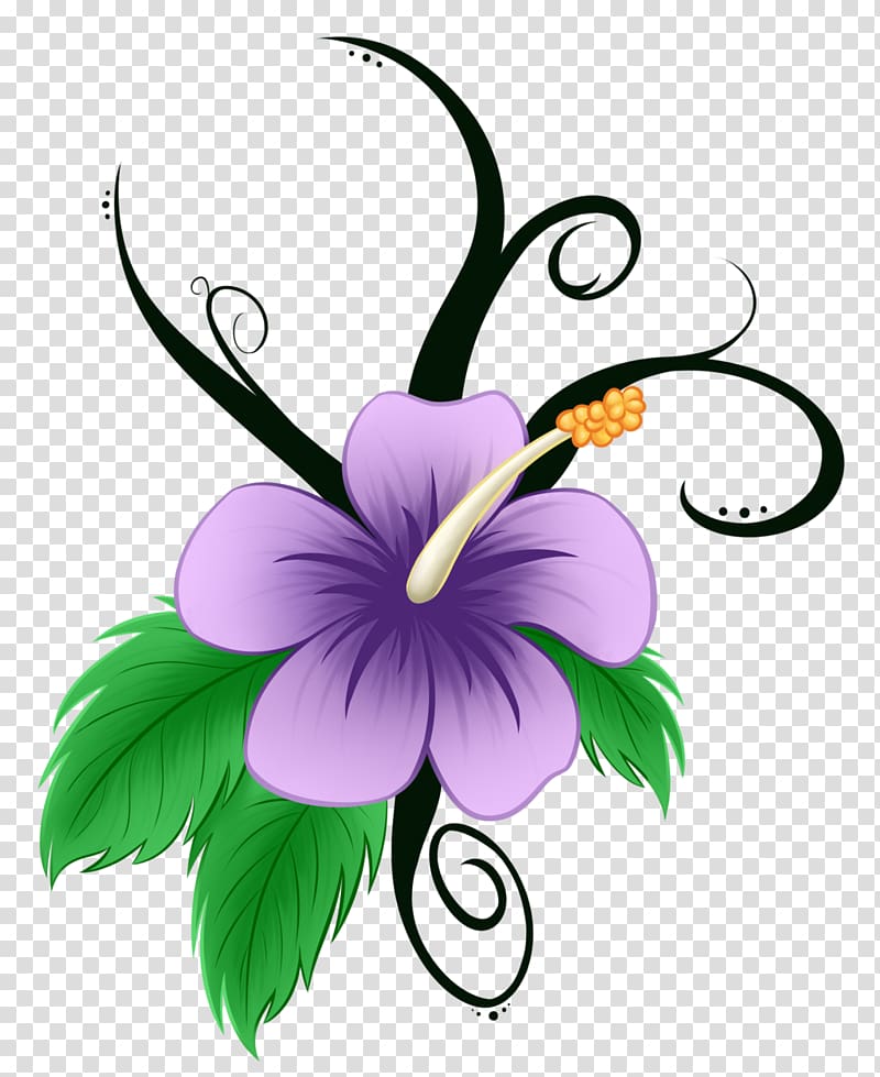 Hawaiian Drawing , Hawaii flower transparent background PNG clipart