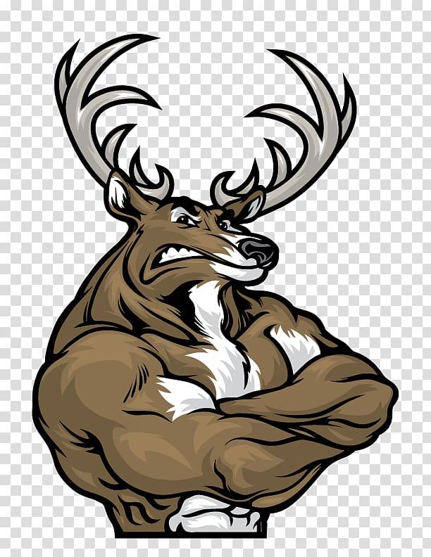 Deer Muscle Drawing, deer transparent background PNG clipart