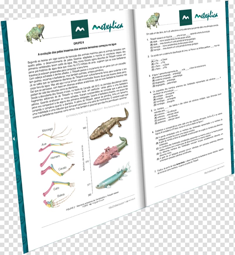 Henning Municipal Airport Organism Product, escola transparent background PNG clipart