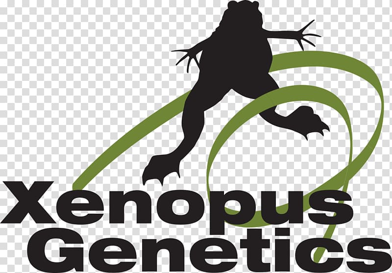 Logo Human behavior Biology Horse Doctor of Philosophy, Xenopus transparent background PNG clipart